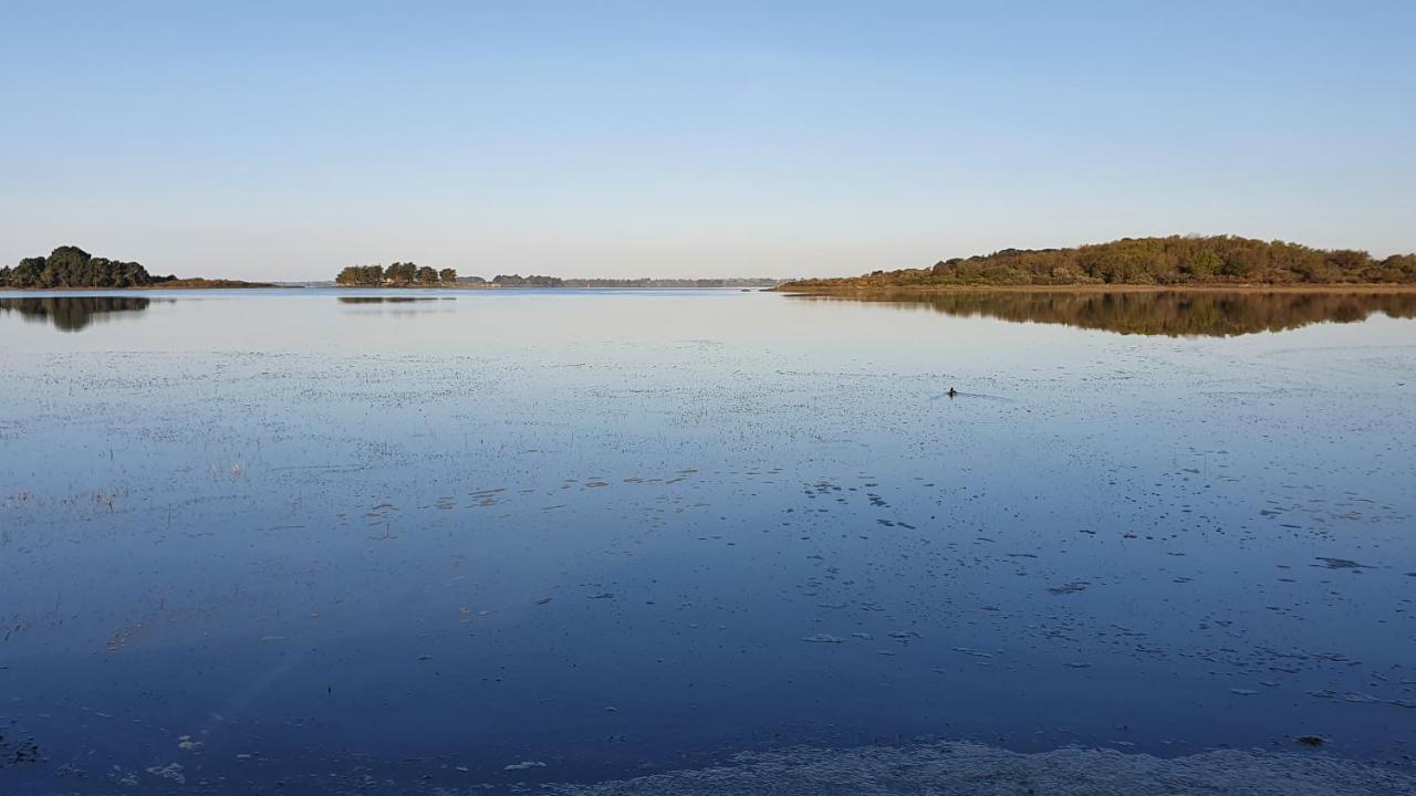 Séné Maison Golfe Du Morbihan - Vue Mer - Plage A 600M - 6 Chambres מראה חיצוני תמונה