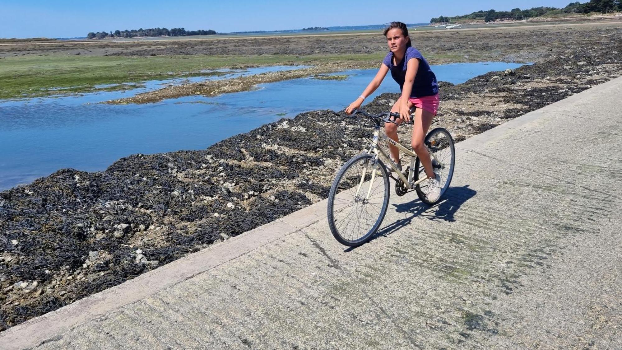 Séné Maison Golfe Du Morbihan - Vue Mer - Plage A 600M - 6 Chambres מראה חיצוני תמונה